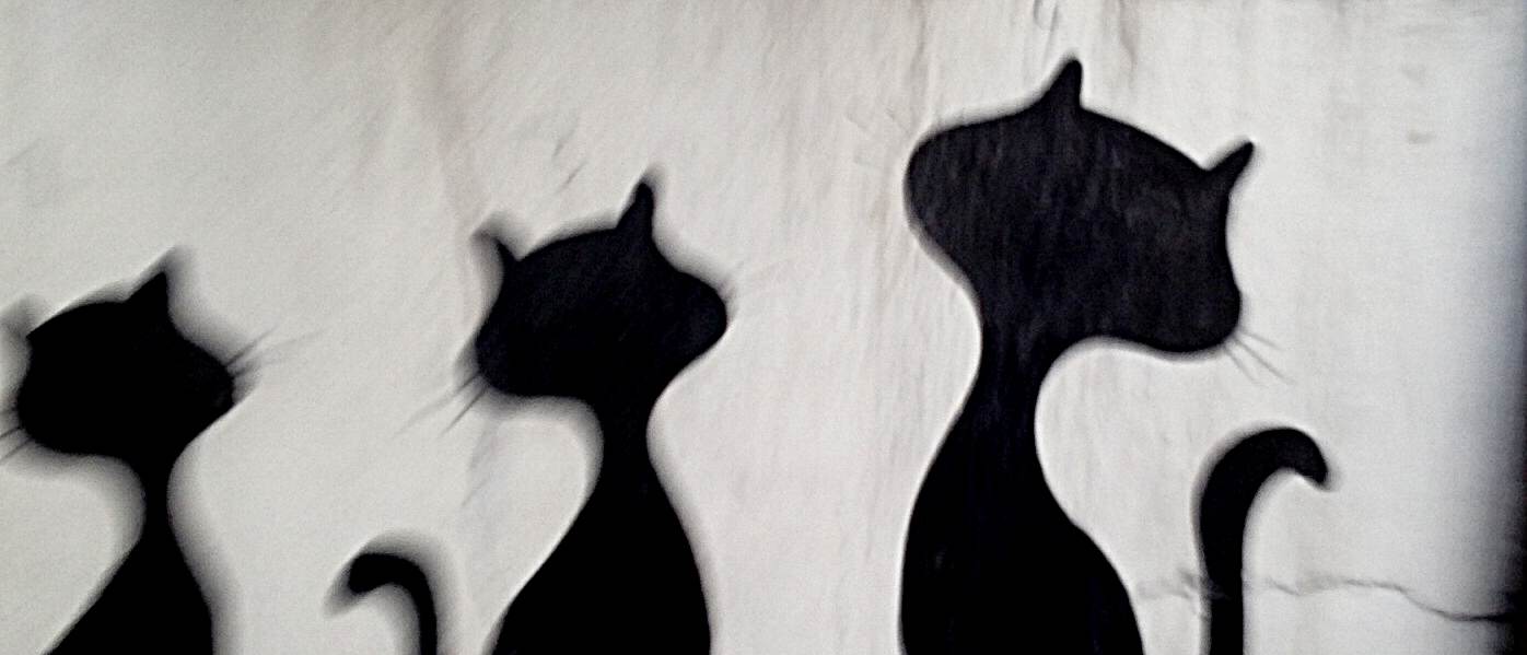 Cats of Istanbul