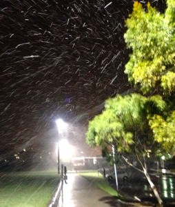 Magical Snow at UTAS Ovals