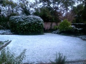 My Sandy Bay back yard covered in snow