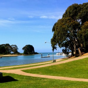 Coastal track from Gutteridge Gardens