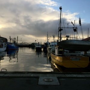 The tranquility of the Hobart Waterfront at Sunrise