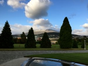 Snowy kunyani/Mt Wellington